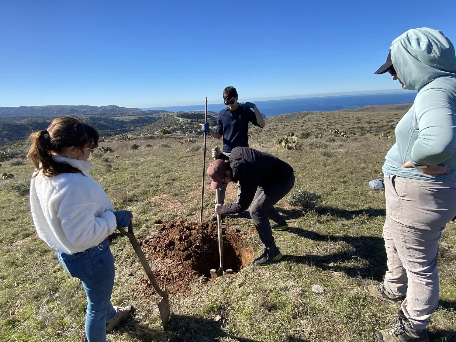fieldwork