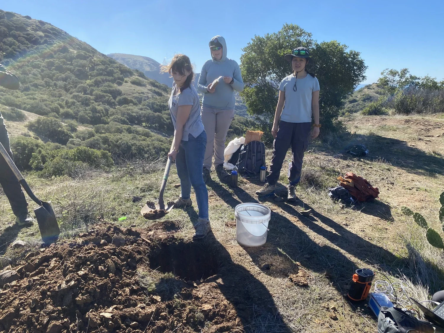 fieldwork