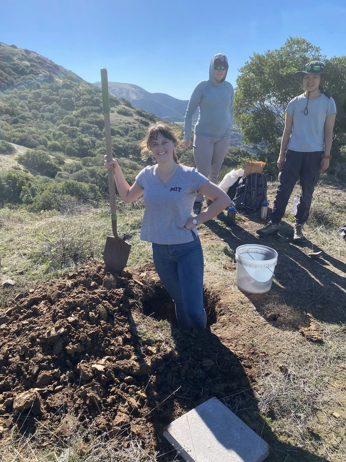 fieldwork